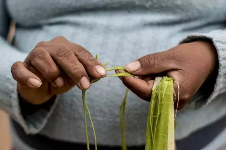 Chaguar, una de nuestras fibras preferidas